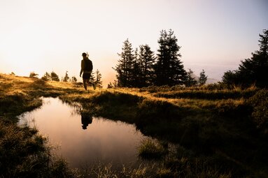 Wanderer bei Sonnenuntergang auf einer Wiese mit Tümpel und Bäumen im Hintergrund. | © Ferienregion Nationalpark Hohe Tauern - Gerald Demolsky