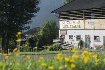 Wollstadl | © Ferienregion Nationalpark Hohe Tauern