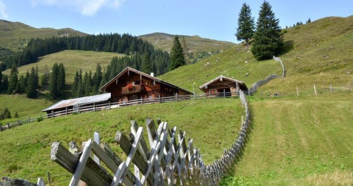 Traditionelle Almhütten auf grünen Hügeln mit Holzzaun und Bäumen im Hintergrund. | © Ferienregion Nationalpark Hohe Tauern