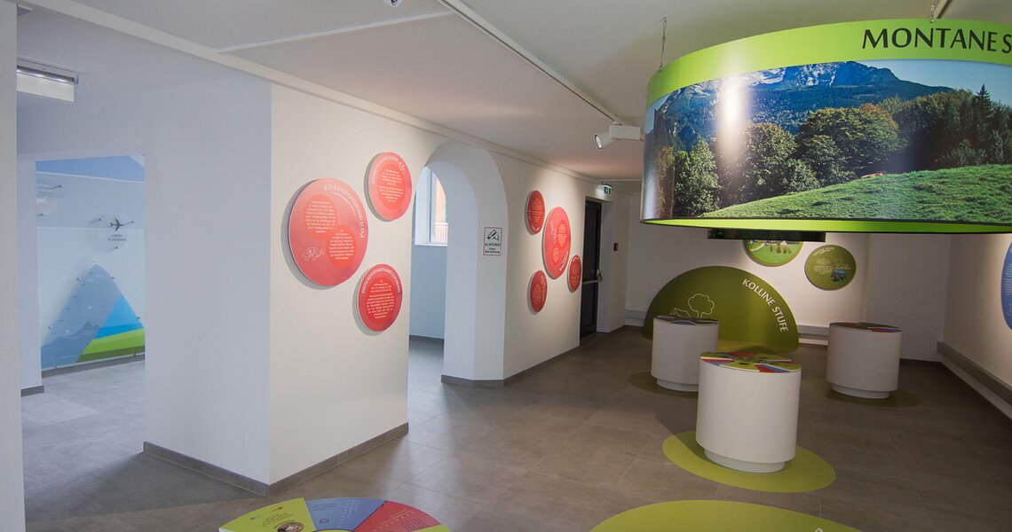 Moderne Ausstellung im Nationalparkzentrum mit interaktiven Elementen und farbenfrohem Design. | © Nationalparkausstellung Gletscher-Klima-Wetter