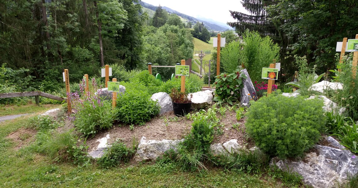 Kräuterbeete mit Beschilderung in einem Garten am Waldrand. | © Ferienregion Nationalpark Hohe Tauern