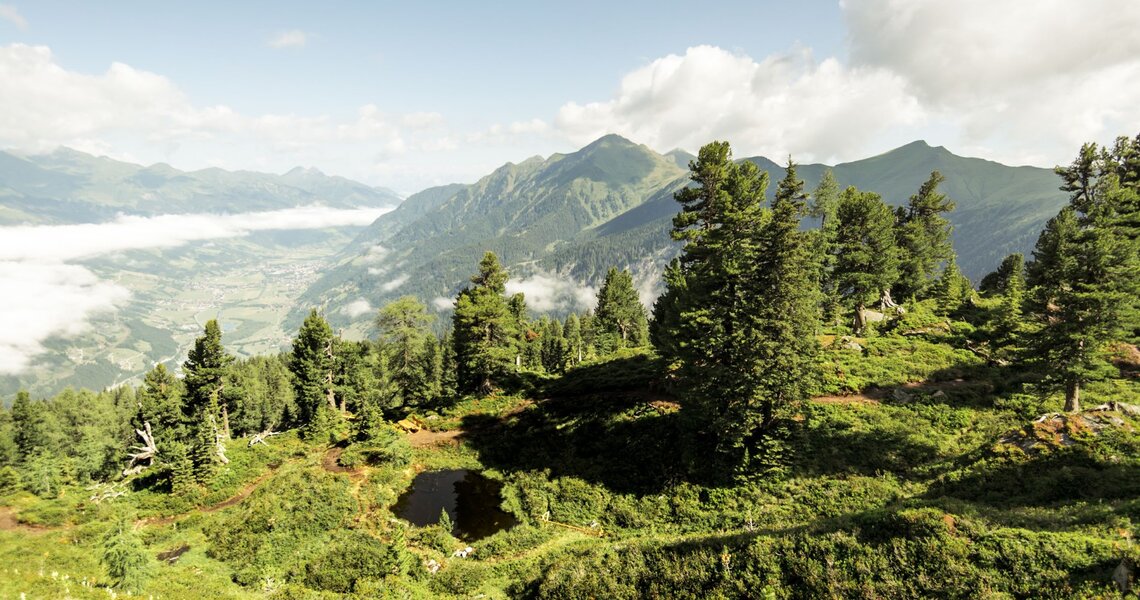  Panoramablick vom Graukogel auf das Tal mit dichten Wäldern, Bergen und einem kleinen Teich. | © Ferienregion Nationalpark Hohe Tauern
