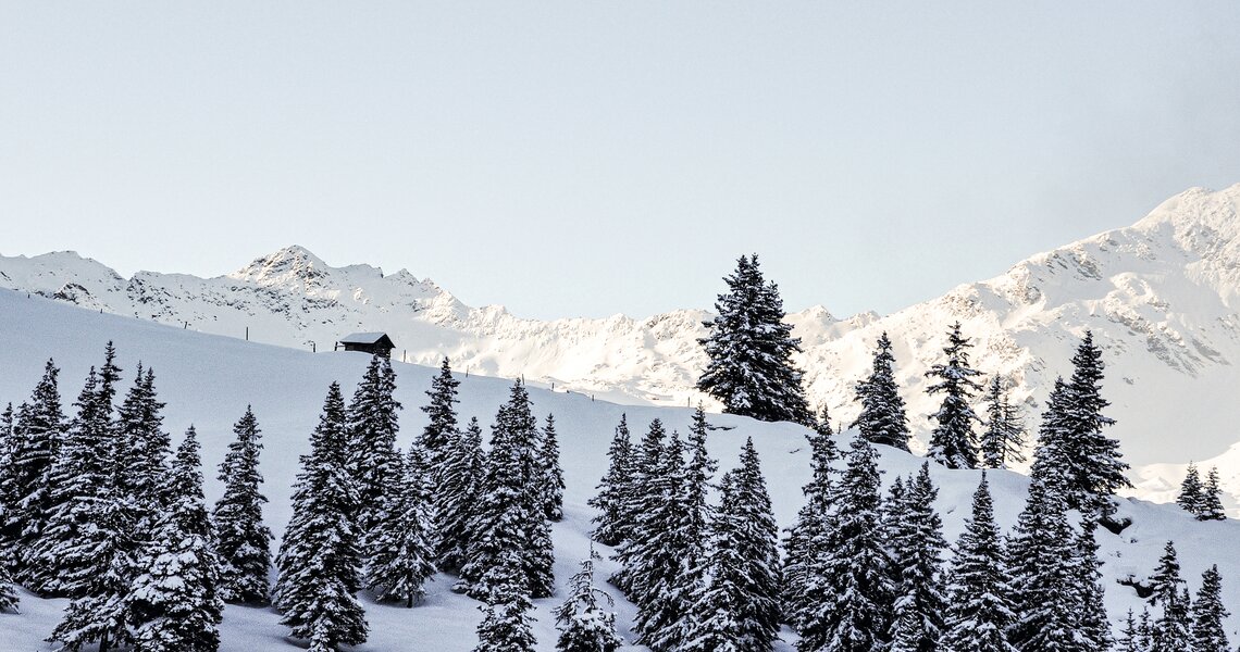  Verschneite Tannen vor einer Berghütte und einer Kulisse aus schneebedeckten Gipfeln bei klarem Himmel. | © Rieder