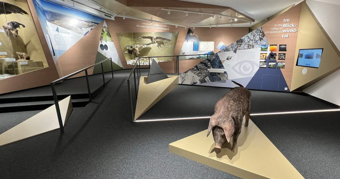 Ausstellungsraum im Facettenreich des Nationalparks Hohe Tauern mit interaktiven Elementen und Exponaten. | © Wolfgang Urban