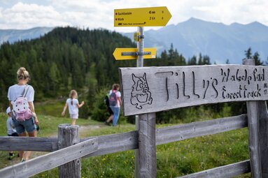 Tilly's Waldpfad | © Tourism Association Rauris - Lukas Pilz
