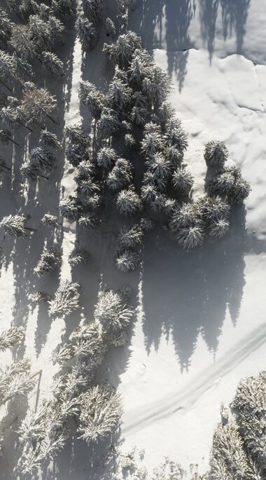 Luftaufnahme eines verschneiten Waldes | © Ferienregion Nationalpark Hohe Tauern - Innerhofer