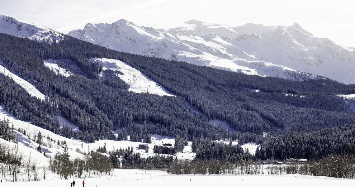 Langläufer in weiter Schneelandschaft mit bewaldeten Hängen und Alpenpanorama. | © Foto Bachmeier