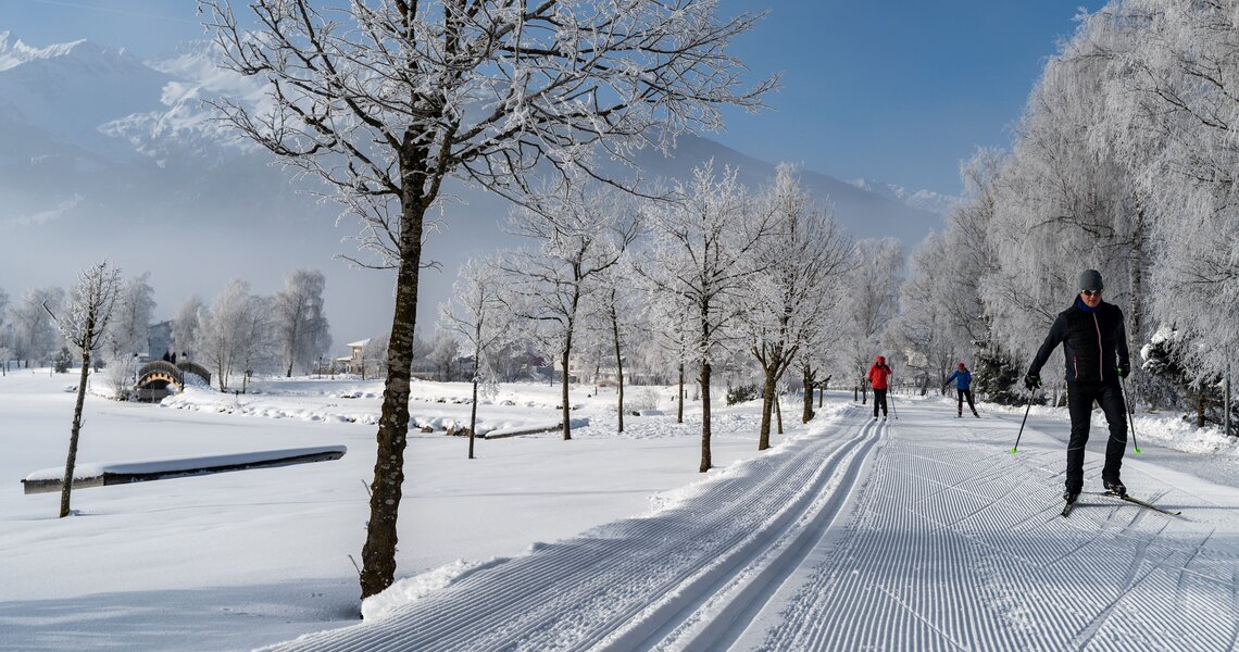 Langläufer auf Winterloipe durch verschneite Allee bei klarem, sonnigem Wetter.