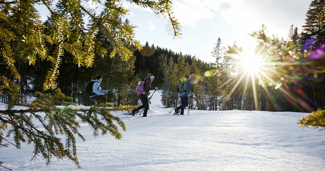 Gruppe beim Schneeschuhwandern im Wald bei Sonnenschein. | © Michael Hochfellner