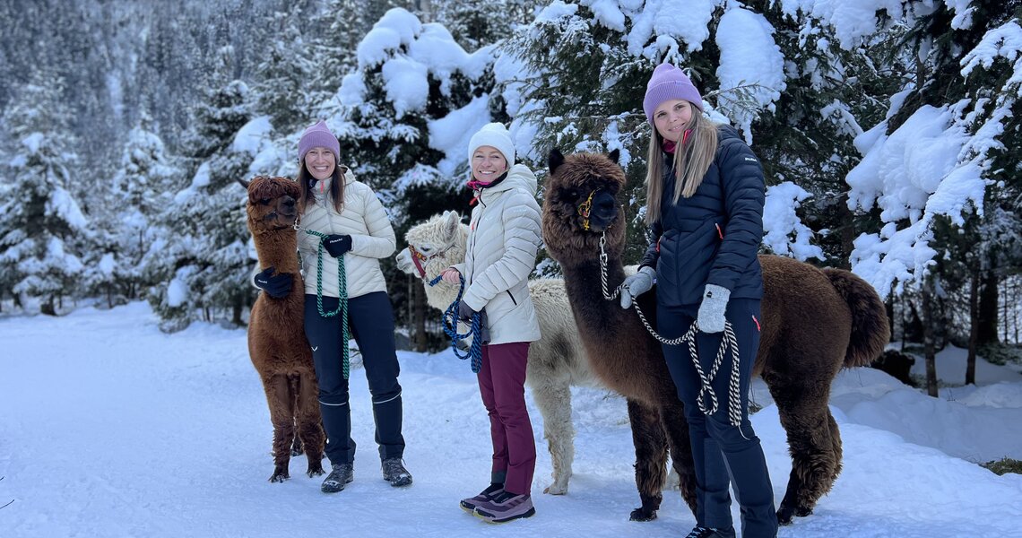 Three women walk alpacas through a snowy winter forest.