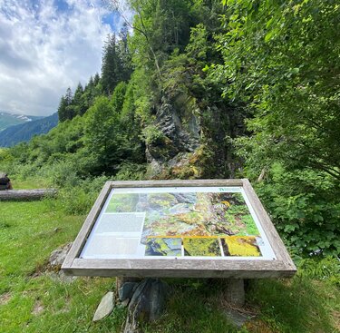 Naturlehrpfad mit Infotafel vor grünen Hängen und Wäldern im Hollersbachtal. | © Nationalpark Hohe Tauern - Pecile