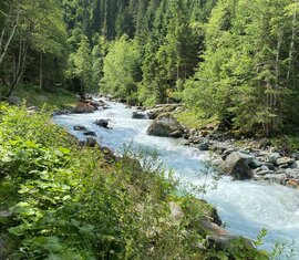 Hollersbach valley | © Hohe Tauern Nationalpark - Pecile