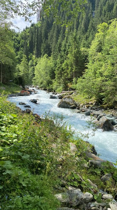 Fluss mit türkisfarbenem Wasser umgeben von üppigen grünen Wäldern und Felsen. | © Nationalpark Hohe Tauern - Pecile